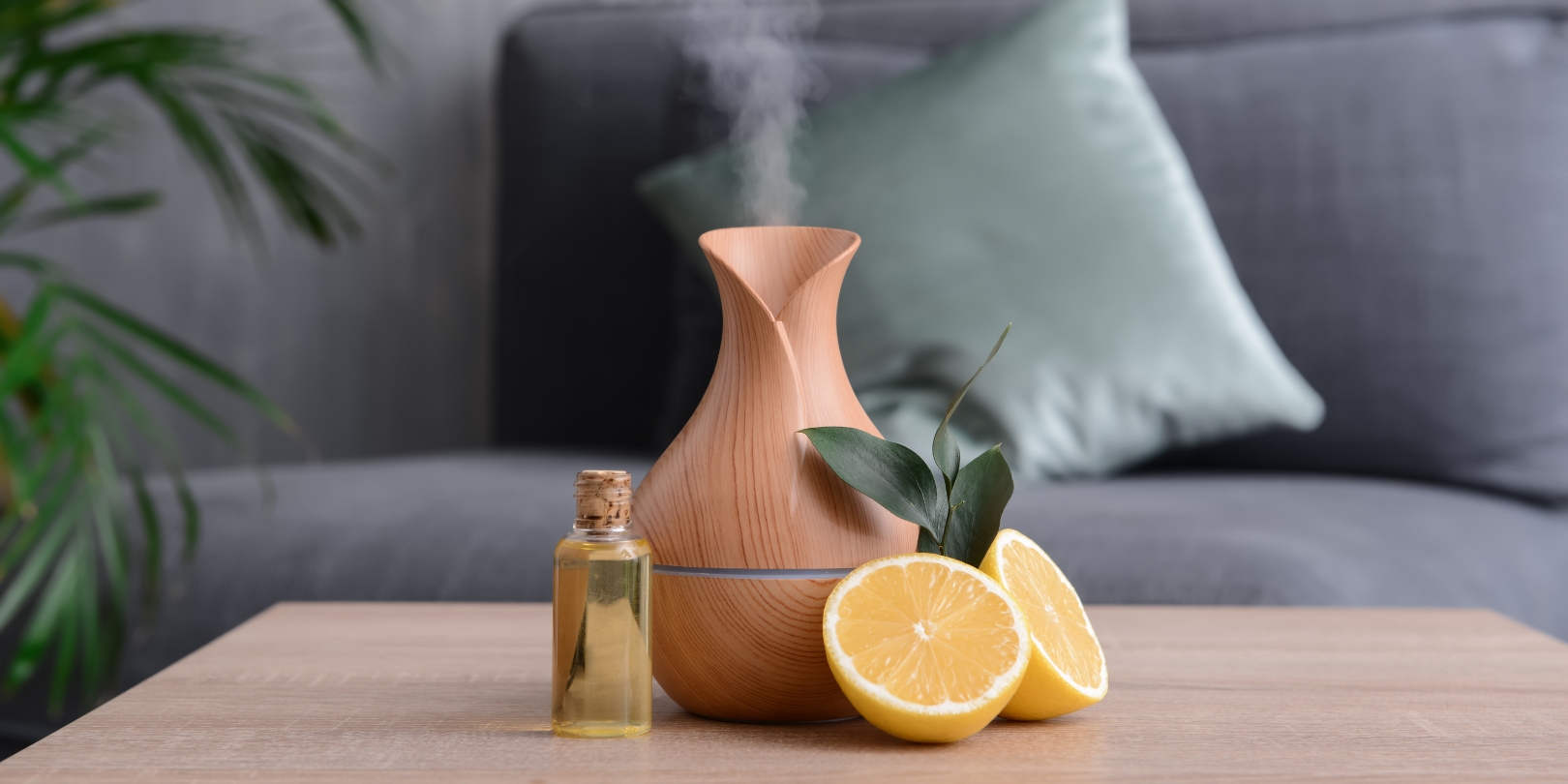 Put Essential Oils in a Humidifier - Old House Journal